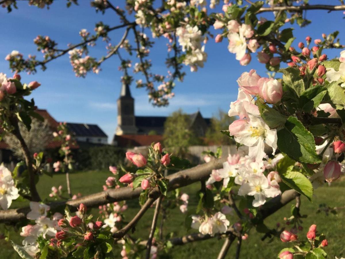 Het Zonnetje -vakantiewoning En Apartment